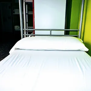 피트업 옐로우 네스트 호스텔